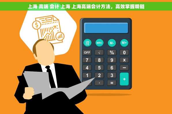 上海 高端 会计 上海 上海高端会计方法，高效掌握精髓