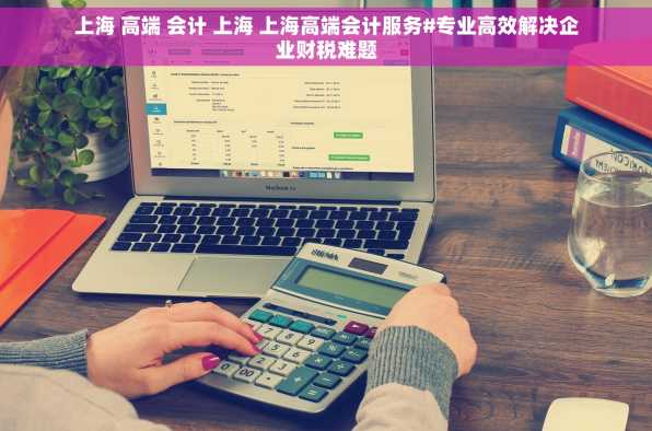 上海 高端 会计 上海 上海高端会计服务#专业高效解决企业财税难题