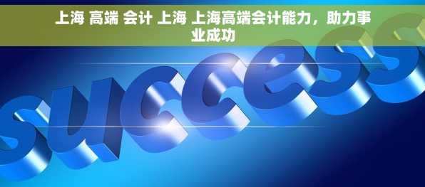 上海 高端 会计 上海 上海高端会计能力，助力事业成功