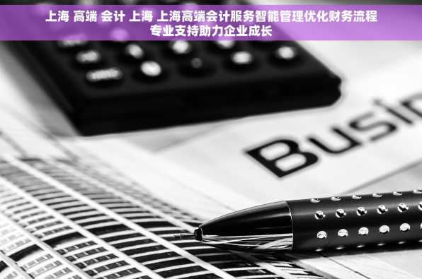 上海 高端 会计 上海 上海高端会计服务智能管理优化财务流程专业支持助力企业成长