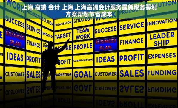 上海 高端 会计 上海 上海高端会计服务最新税务筹划方案帮您节省成本