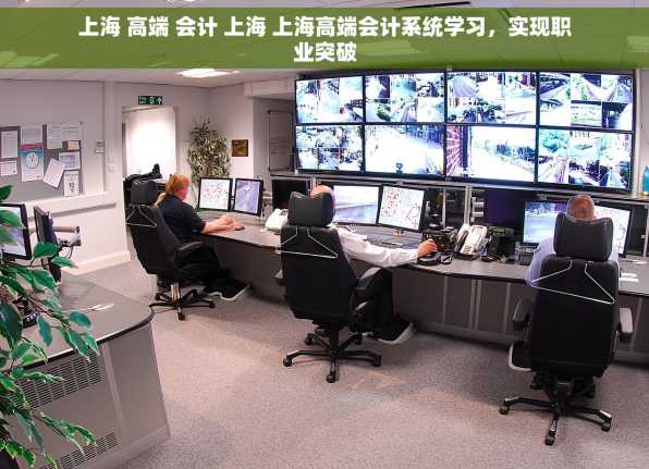 上海 高端 会计 上海 上海高端会计系统学习，实现职业突破