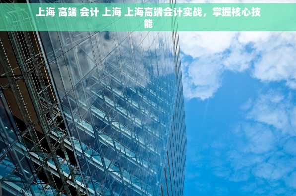上海 高端 会计 上海 上海高端会计实战，掌握核心技能
