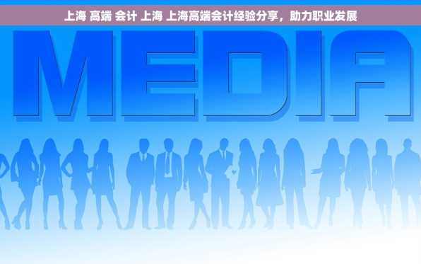 上海 高端 会计 上海 上海高端会计经验分享，助力职业发展