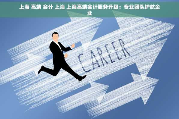 上海 高端 会计 上海 上海高端会计服务升级：专业团队护航企业