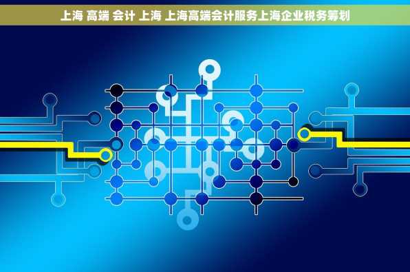 上海 高端 会计 上海 上海高端会计服务上海企业税务筹划