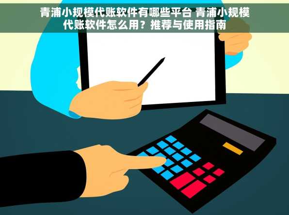 青浦小规模代账软件有哪些平台 青浦小规模代账软件怎么用？推荐与使用指南