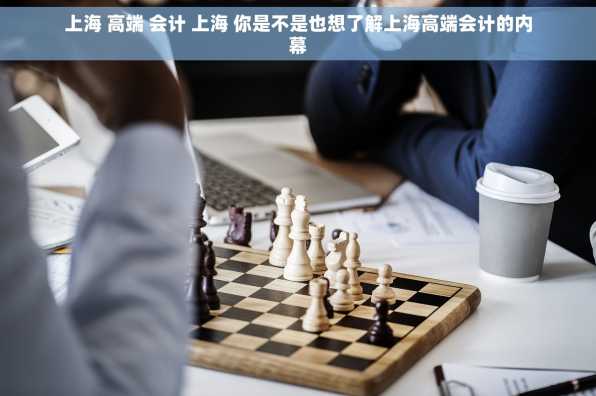 上海 高端 会计 上海 你是不是也想了解上海高端会计的内幕