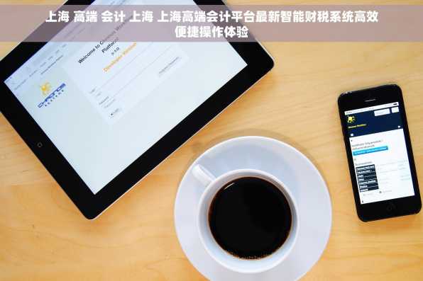 上海 高端 会计 上海 上海高端会计平台最新智能财税系统高效便捷操作体验
