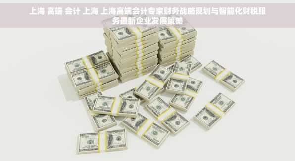 上海 高端 会计 上海 上海高端会计专家财务战略规划与智能化财税服务最新企业发展策略