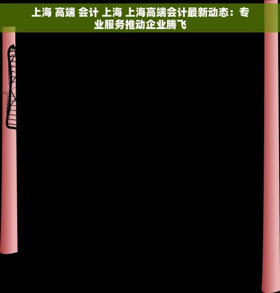 上海 高端 会计 上海 上海高端会计最新动态：专业服务推动企业腾飞