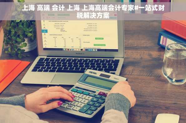 上海 高端 会计 上海 上海高端会计专家#一站式财税解决方案