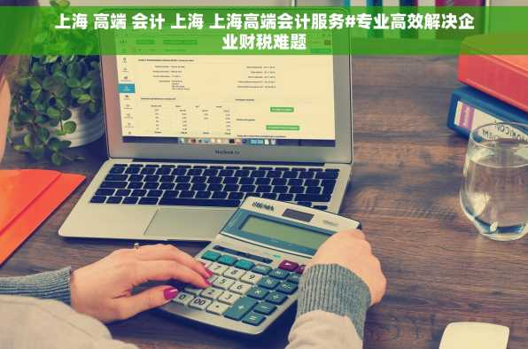 上海 高端 会计 上海 上海高端会计服务#专业高效解决企业财税难题