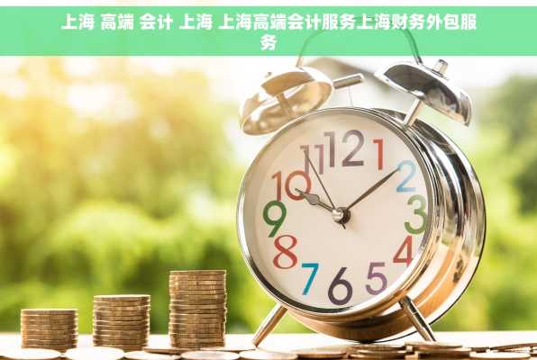 上海 高端 会计 上海 上海高端会计服务上海财务外包服务