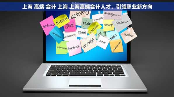 上海 高端 会计 上海 上海高端会计人才，引领职业新方向