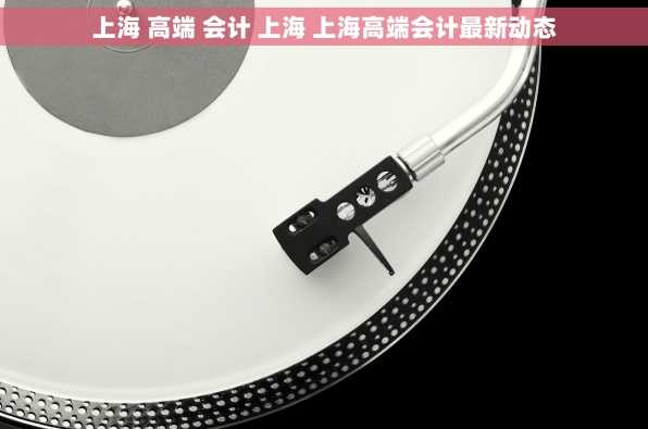 上海 高端 会计 上海 上海高端会计最新动态