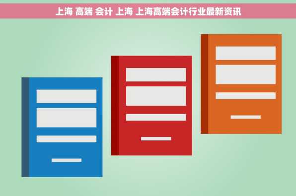 上海 高端 会计 上海 上海高端会计行业最新资讯
