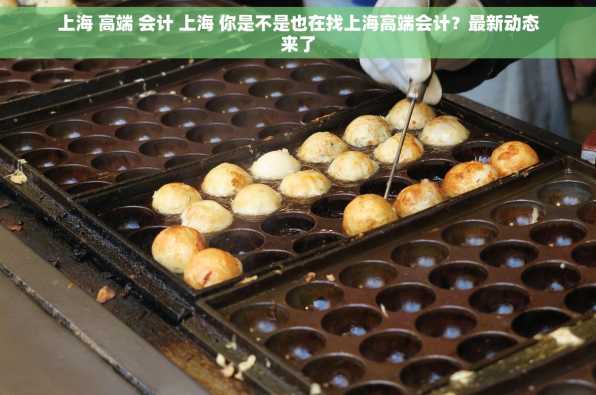 上海 高端 会计 上海 你是不是也在找上海高端会计？最新动态来了