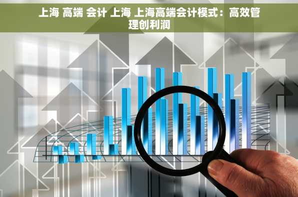 上海 高端 会计 上海 上海高端会计模式：高效管理创利润