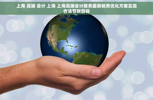 上海 高端 会计 上海 上海高端会计服务最新税务优化方案实现合法节税目标
