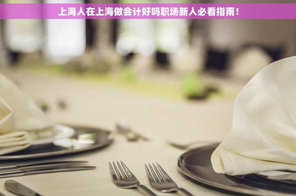 上海人在上海做会计好吗职场新人必看指南！