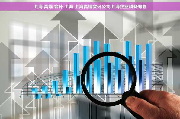 上海 高端 会计 上海 上海高端会计公司上海企业税务筹划