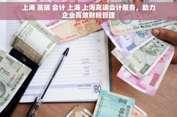 上海 高端 会计 上海 上海高端会计服务，助力企业高效财税管理