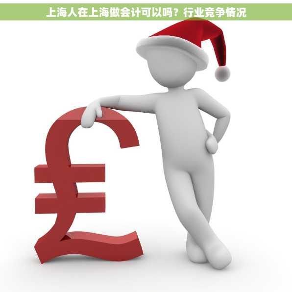 上海人在上海做会计可以吗？行业竞争情况