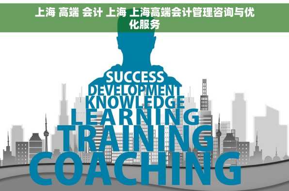上海 高端 会计 上海 上海高端会计管理咨询与优化服务
