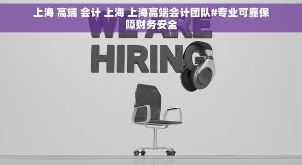 上海 高端 会计 上海 上海高端会计团队#专业可靠保障财务安全