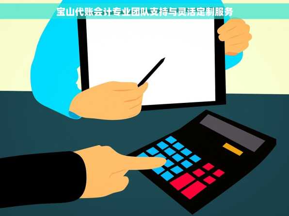 宝山代账会计专业团队支持与灵活定制服务