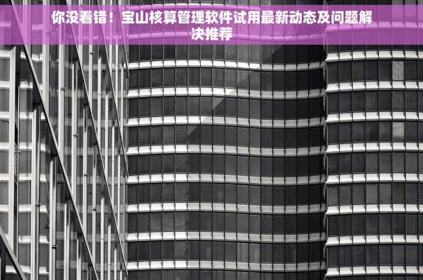 你没看错！宝山核算管理软件试用最新动态及问题解决推荐