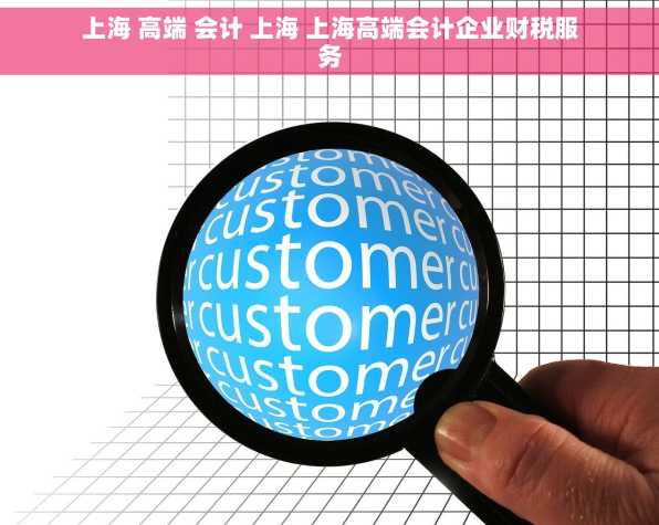 上海 高端 会计 上海 上海高端会计企业财税服务