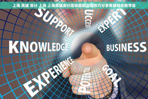 上海 高端 会计 上海 上海高端会计培训最新实操技巧分享零基础也能学会