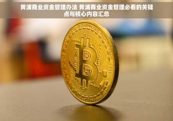 黄浦商业资金管理办法 黄浦商业资金管理必看的关键点与核心内容汇总