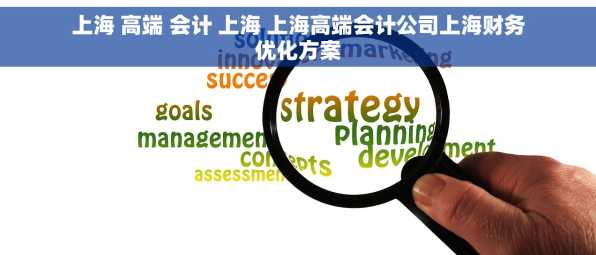 上海 高端 会计 上海 上海高端会计公司上海财务优化方案