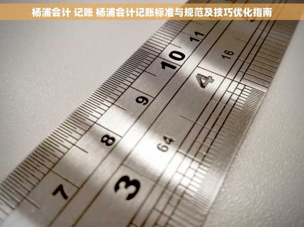 杨浦会计 记账 杨浦会计记账标准与规范及技巧优化指南