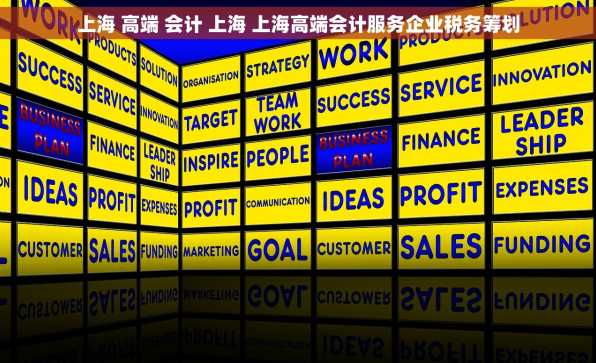 上海 高端 会计 上海 上海高端会计服务企业税务筹划