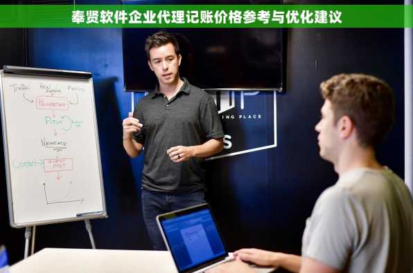 奉贤软件企业代理记账价格参考与优化建议