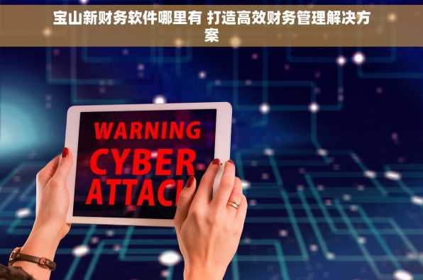 宝山新财务软件哪里有 打造高效财务管理解决方案