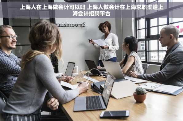 上海人在上海做会计可以吗 上海人做会计在上海求职渠道上海会计招聘平台