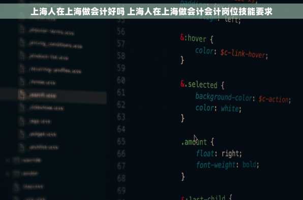 上海人在上海做会计好吗 上海人在上海做会计会计岗位技能要求