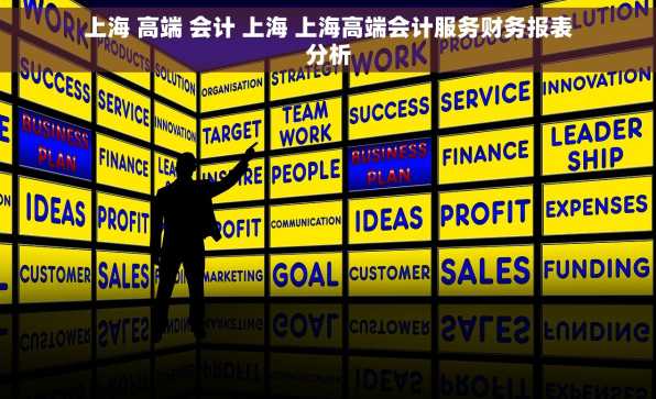 上海 高端 会计 上海 上海高端会计服务财务报表分析