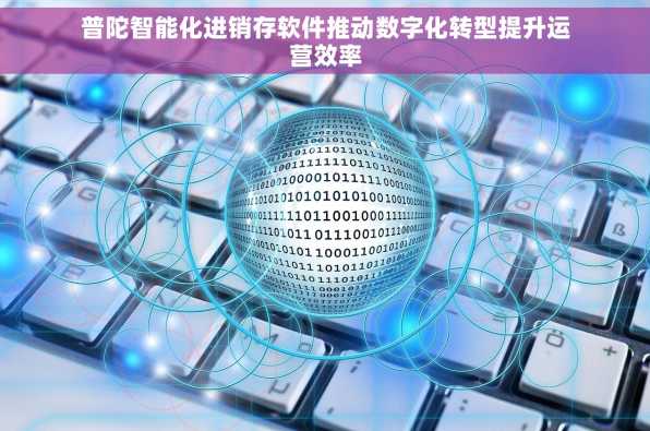 普陀智能化进销存软件推动数字化转型提升运营效率