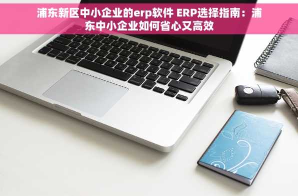 浦东新区中小企业的erp软件 ERP选择指南：浦东中小企业如何省心又高效