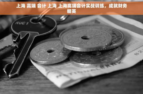 上海 高端 会计 上海 上海高端会计实战训练，成就财务精英