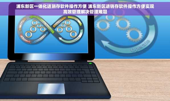 浦东新区一体化进销存软件操作方便 浦东新区进销存软件操作方便实现高效管理解决管理难题