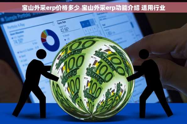 宝山外采erp价格多少 宝山外采erp功能介绍 适用行业