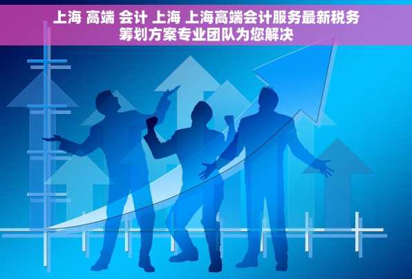上海 高端 会计 上海 上海高端会计服务最新税务筹划方案专业团队为您解决