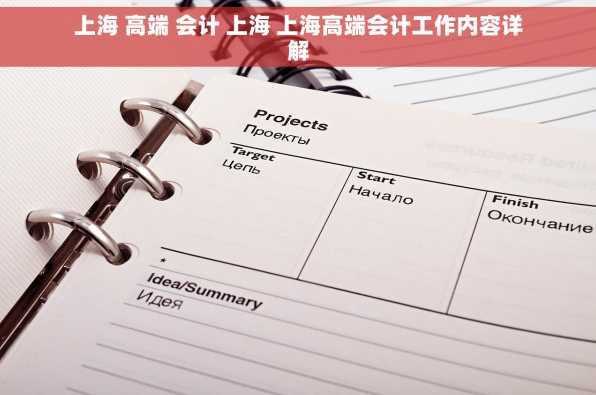 上海 高端 会计 上海 上海高端会计工作内容详解
